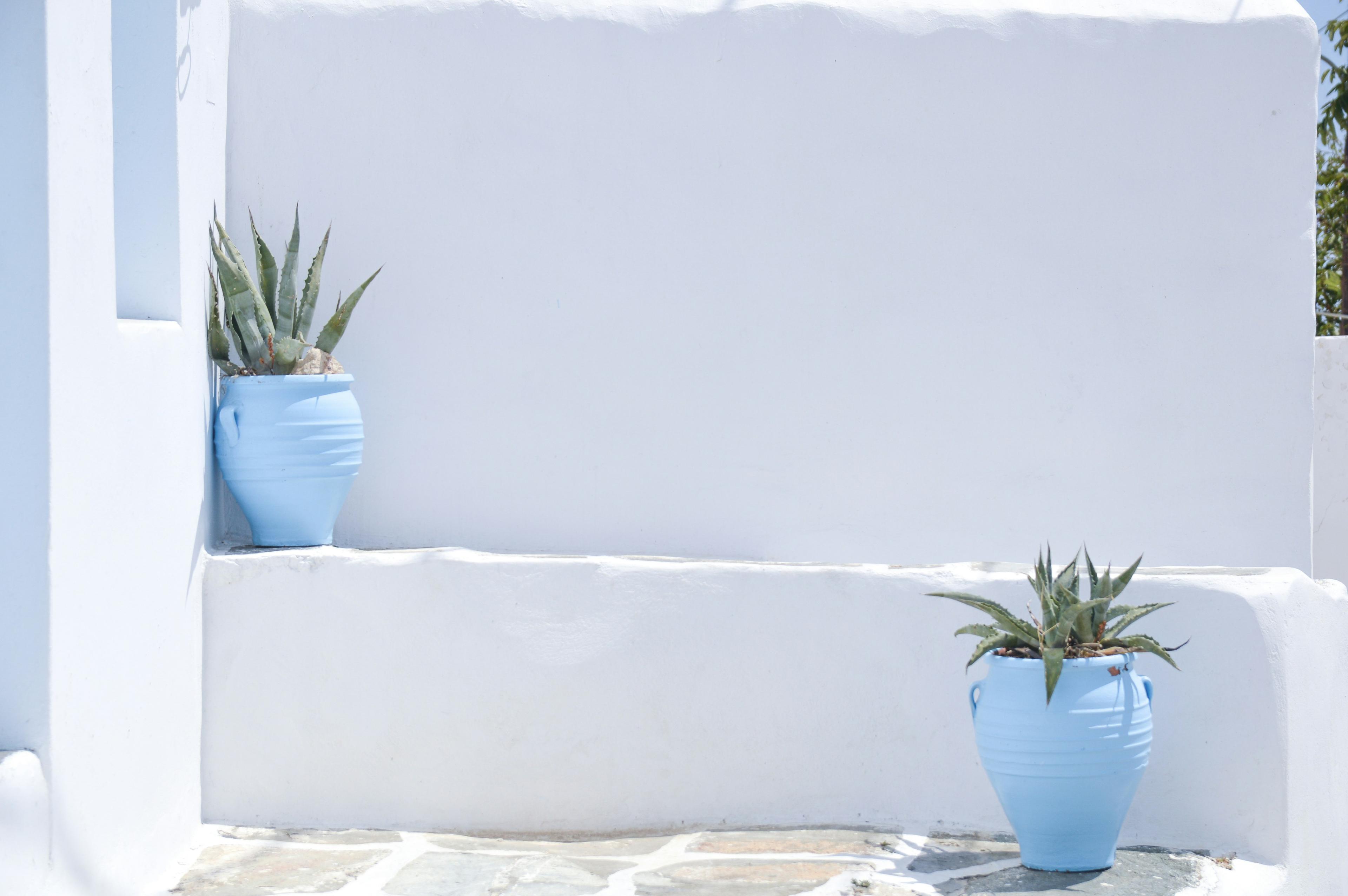 White Cycladic wall with light blue planters, evoking Greece